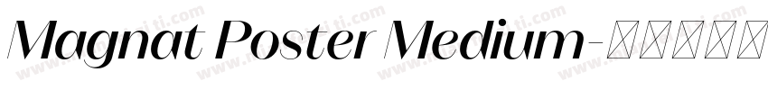 Magnat Poster Medium字体转换